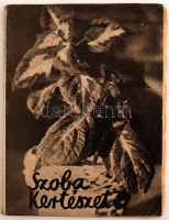 Kardos Árpád: Szobakertészet. Bp., é.n., Singer és Wolfner. Kiadói papírkötésben.