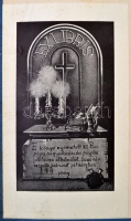 XII. Pius élete és válogatott beszédei Írta és a beszédeket fordította: Zigány Miklós és Fényi András. Bp., 1942, Magyar Jövő. 478 p., 22 t. (egészoldalas fotó). Kiadói, aranyozott, címeres egészvászon-kötésben. A gerinc