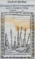 Bussato [Bussatti] da Ravenna, Marco: Giardino di agricoltura. Venezia, 1592, Giovanni Fiorina. Olasz nyelvű mezőgazdasági traktátus, első kiadás. Papír, többféle (feltehetőleg észak-itáliai) vízjellel, 59 folio (ebből 53 számozott),