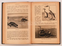 A műveltség útja. Teljes sorozat 15 kötetben. Egységes, szép állapotú egészvászon kötésben. (Egy kötet gerincén nagyobb, kettőn kis hibákkal)