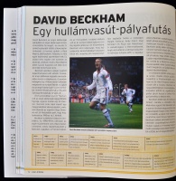 Kier Radnedge: A futball enciklopédiája. Bp., 2006, Ventus Libro. Kiadói modern keménykötésben, újszerű állapotban. Számos fotóval.