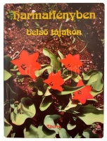 Harmatfényben - Belső tájakon. Irodalmi antológia. Bp., 1997, Alterra. Kiadói puhakötésben. Az egyik szerző dedikációjával.
