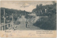 Budapest XII. Svábhegy, Fogaskerekű vasútállomás, gőzmozdony  (EK)