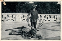 Gödöllő, Királyi kastély, Horthy az általa lőtt szarvasbikával (b)