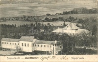 Báznafürdő, Baile Bazna; Tulipán palota, kiadja Grünwald / palace