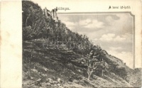 Belényes, Beius; A borzi kőkotló / rock (EK)