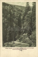 Borberek, Vurpar; völgy a Corongis heggyel / valley with Mt. Corongis, '1940 Beszterce(?) visszatért' So. Stpl. (EK)