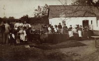 Hegyközpályi, Paleu; Szüret / grape harvest, photo