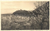 Kisdisznód, Cisnadioara; látkép / general view
