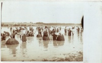 1917 Kolozsvár, Cluj; Fellegvár (Gruia), Halászat a holt Dunán, háttérben az üveggyár és raktárak / fishing in the Danube, glass factory in the background, photo