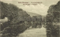 Menyházafürdő, Moneasa; Halas-tó / Fish lake (EB)