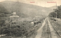 Menyházafürdő, Baile Moneasa; tájrészlet, vasút, kiadja Fai Károly / general view, railway track (EK)