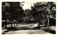 Nagybánya, Baia Mare; liget részlet, kiadja az Illusztráció Fényképsokszorosító / park detail (EK)