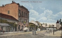 Nagyszalonta, Salonta; Toldi Miklós tér, üzletek, Képíró Károly kiadása / square, shops