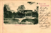 Nagyszeben, Hermannstadt, Sibiu; Erlen park / park