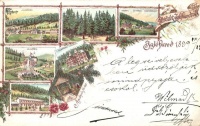 1899 Iglófüred, Spisská Nová Ves Kupele; Üstökös tér, Hungária, Millenium  és Tátra szállodák / square, hotels, floral, litho (EK)
