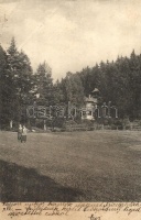 Iglófüred, Spisská Nová Ves Kupele; Gyógyfürdő, Borbély villa / spa, villa (EB)