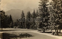 1930 Tátralomnic, Tatranska Lomnica; Parkrészlet / park detail, photo