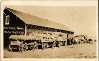Alturas, shiping wool (EK)