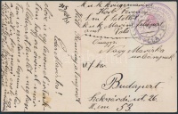 1915 Képeslap haditengerészeti postával / Navy mail postcard 'K. u. k. Kriegsmarine S.M.S. Satellit' + 'MARINEFELDPOSTAMT POLA'