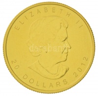 Kanada 2012. 20$ Au 'II. Erzsébet' (15,61g/0.999) T:2
Canada 2012. 20 Dollars Au 'Elizabeth II' (15,61g/0.999) C:XF