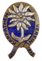 ~1920-1930. 'Magyarországi Kárpát Egyesület - Alapítva 1873' zománcozott fém jelvénye (26x39mm) T:2