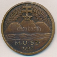 Göröntsér Greff Lajos (1888-1976) ~1930-1940. 'M.U.SZ. (Magyar Úszó Szövetség 1907' Br érem 'LUDVIG' gyártói jelzéssel (34mm) T:2