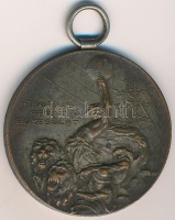 1931. 'Phőbus Sport Egyesület' fém díjérem 'HAWEL Bp.' gyártói jelzéssel (38mm) T:2 patina