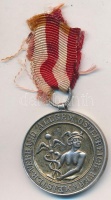 Ausztria DN 'Általános Osztrák Üzemvezető Egyesület' Ag érem kis szalagon (10,5g/25mm) T:2
Austria ND 'Allgem. Österreich. Werkmeister-Verband' Ag medallion with small ribbon (10,5g/25mm) C:XF