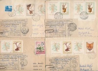 1967 16 db ajánlott levél a feladóvevénnyel mellékelve, a Trófeák bélyegekkel bérmentesítve