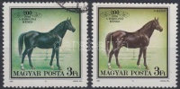 1989 Bábolnai ménes fekete ló + támpéldány