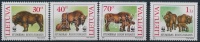 1996 WWF: Bölény sor Mi 599-602 + 4 db FDC-n