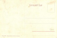 Budapest V. Kígyó tér, Werbőczy-szobor, Belvárosi kávéház; 674-1909 Divald Károly