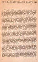 1938 Kelet Népe IV. évfolyam 8. szám, szerk. Féja Géza és Szabó Pál