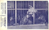 3 db RÉGI képeslap vegyes minőségben; Destin Emmy hangversenye az oroszlán ketrecben, Péterfy Bácsi szobra, Barnum & Bailey cirkuszi litho lap / 3 pre-1945 postcards, mixed quality; circus and Hungarian statue