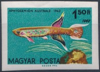1962 Akváriumi díszhalak (I.) vágott tévnyomat '1962' évszám kétszer szerepel (7.000)