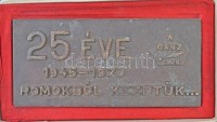 1970. '25 éve 1945-1970 Romokból kezdtük...' Br plakett, eredeti dísztokban (75x160mm) T:2 kis patina