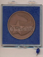 1978. '1918-1978' Tanácsköztársaság 60. évfordulója Br emlékérem lezárt plasztiktokban (42,5mm) T:BU