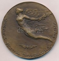 Csehszlovákia 1962. 'Zsolnai Közlekedéstudományi Egyetem' Br emlékérem, eredeti tokban. 'VYSOKA SKOLA DOPRAVNA ZILINA'. Szign.: BR (72mm) T:2
Czechslovakia 1962.'University of Transport, Zilina' Br commemorative medallion in original case.