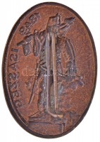 DN '1849 Isaszeg' Br jelvény (26x37mm) T:1-