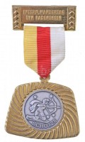 Ausztria ~1970. 'Nyilas' fém jelvény (~52x56mm) T:2 Austria ~1970. 'Schütze' fém jelvény (~52x56mm) C:XF