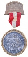 Ausztria 1976. '2. Maltatal Vándornap' fém jelvény, 'PURKERT ENNS' gyártói jelzéssel (~60mm) T:2
Austria 1976. '2. Maltatal Wandertag' metal badge, with 'PURKERT ENNS' makers mark (~60mm) C:XF