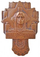 Csehország / Történelmi tartomány 1912. 'Sokol fesztivál - Prága 1912' Br jelvény, hátlapon 'PICHL PRAHA' gyártói jelzéssel (34x49mm) T:2
Bohemia 1912. 'Slet Sokolstva - Praha 1912' Br badge with 'PICHL PRAHA' makers mark on reverse