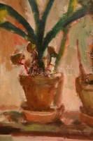 Barta Mária (1897-1969): Ablak növények. Olaj, vászon-karton, jelzett, keretben, 60×80 cm