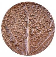 1995. 'Az 50 éves Szabad Föld Jubileumára' Br plakett. Szign.: CK (?) (95mm) T:2