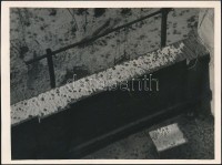 cca 1933 Kinszki Imre (1901-1945) pecséttel jelzett, vintage fotóművészeti alkotása, 13x17,5 cm