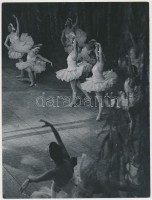 cca 1953 Botta Ferenc (1919-1968): Jelenet a Hattyúk tavából, aláírt, feliratozott fotóművészeti alkotás, 24x18 cm