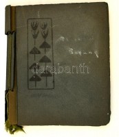 1905 Hegedűs Sándor (1847-1906) közgazdász, miniszter, írót ábrázoló fotók, lánya, Hegedűs Rózsika készítette. Benne a minisztert és családját, lakhelyüket ábrázoló 18 db eredeti, 1900-körüli felvétel, feliratozva, hozzá