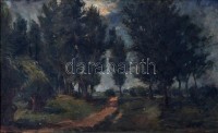 Kováts Károly (1875-1946): Tisza part tavasszal. Olaj, karton, jelzett, keretben, 39×62 cm