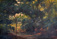 Kováts Károly (1875-1946): Erdőrészlet. Olaj,vászon, jelzett, keretben, 39×55 cm